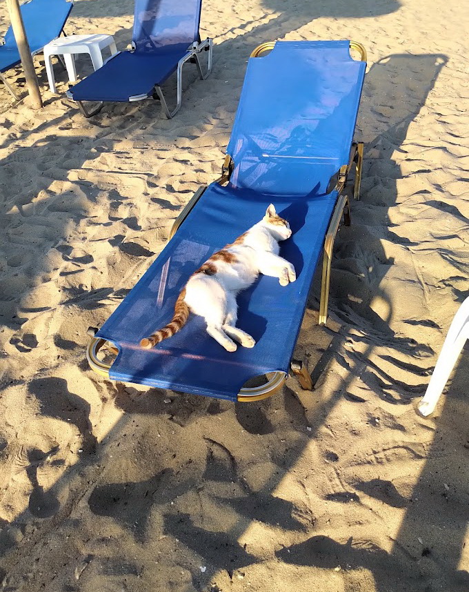  San Antonio beach Thassos 